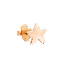 Dodo Star Earring 