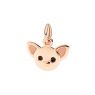 Dodo Chihuahua