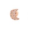 Dodo Moon Earring 