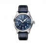 IWC Pilot's Watch Mark XX