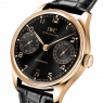 IWC Portugieser Automatic 42